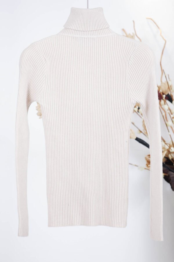 basic high-neck