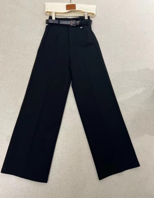 Pair of classic pants